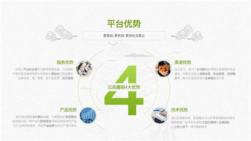 鄉(xiāng)村振興戰(zhàn)略下的農(nóng)特產(chǎn)品與科技融合之路